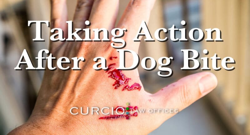 What to Do After a Dog Bite