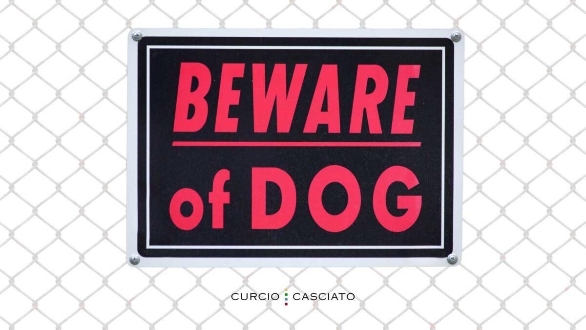 What to Do After a Dog Bite Chicago