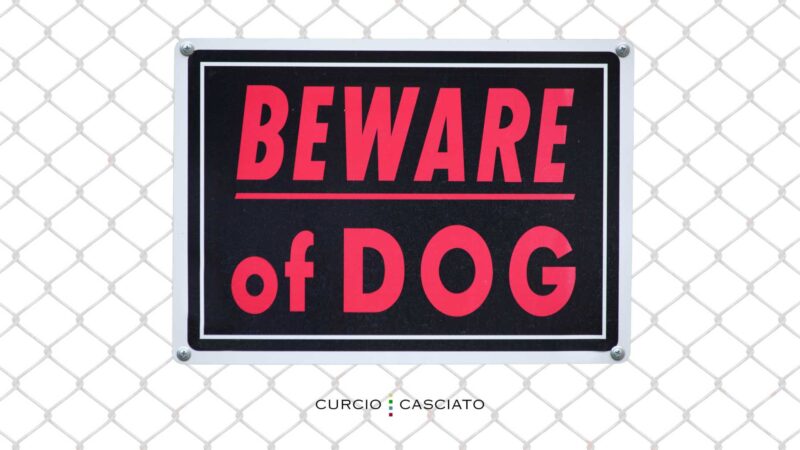 What Happens If Your Dog Bites Someone in Illinois?