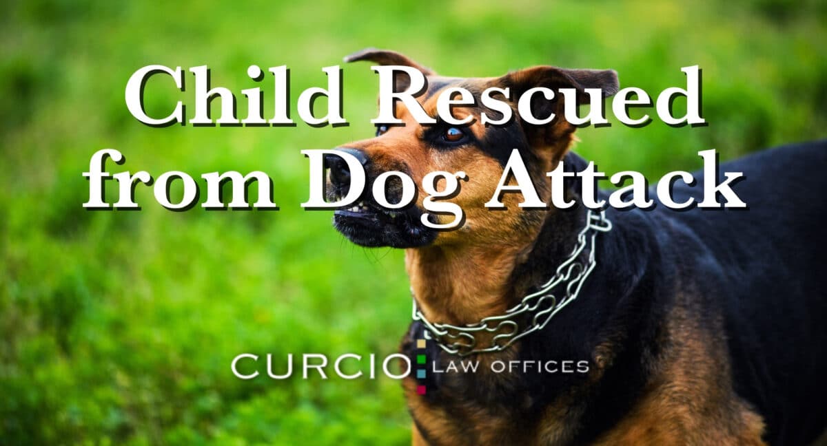 child rescued from dog attack