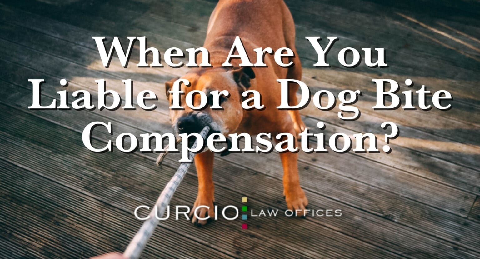 When Are You Liable for a Dog Bite Compensation? Dog Bite Injuries
