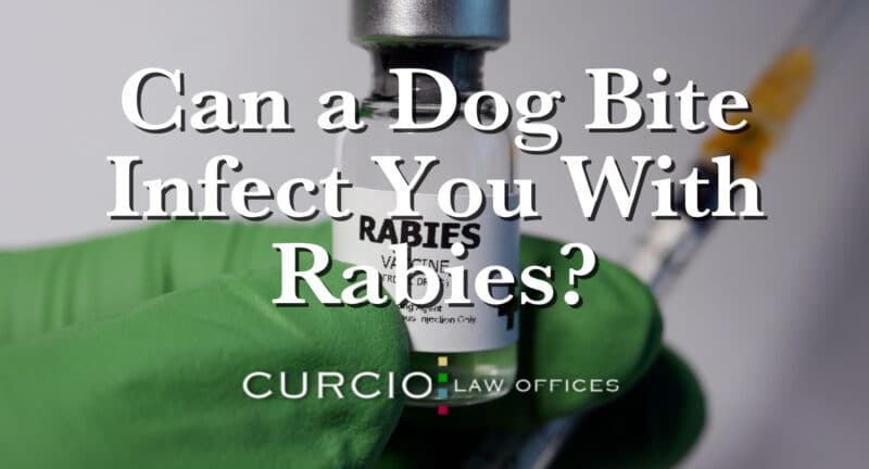 Chicago Rabies Dog Bite Claims