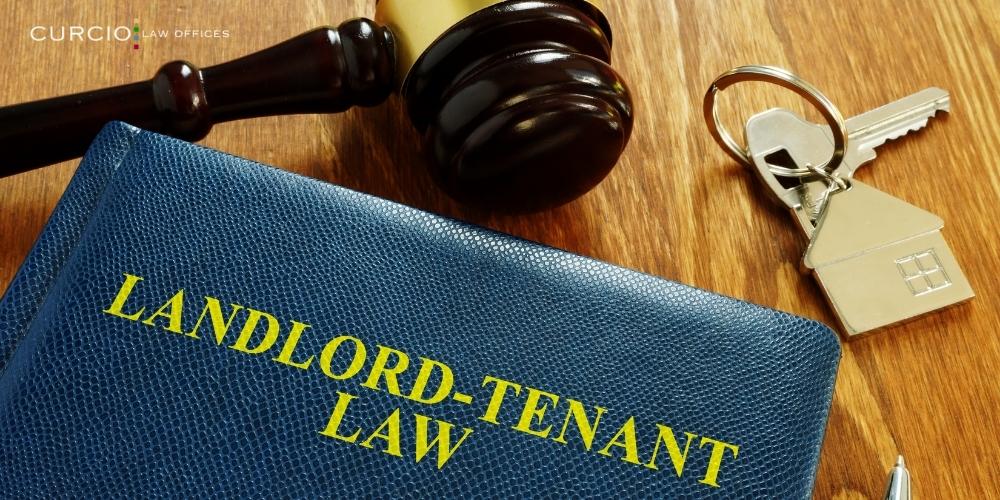 mold in apartment tenant rights