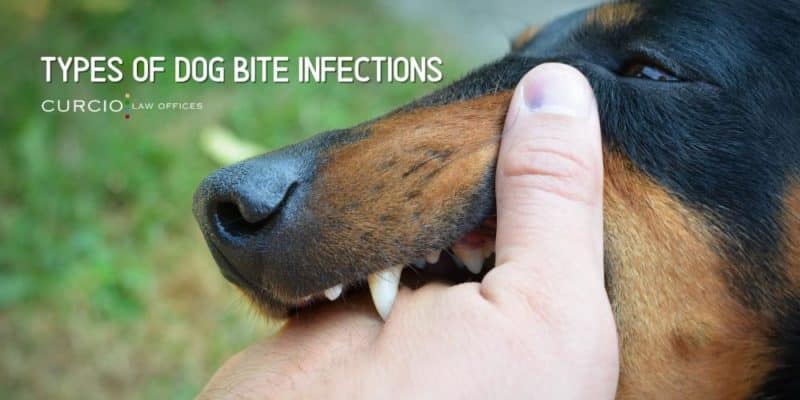 Types of Dog Bite Infections
