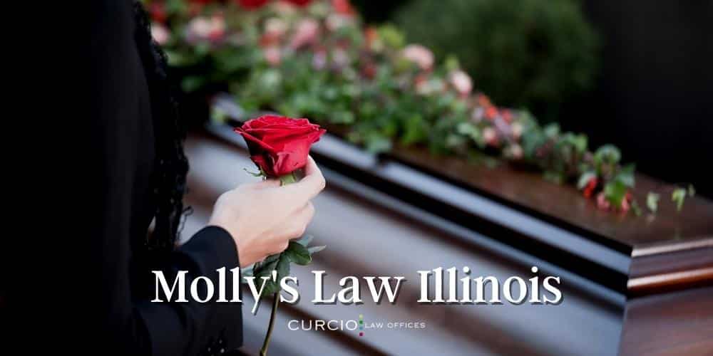 Molly's Law Illinois