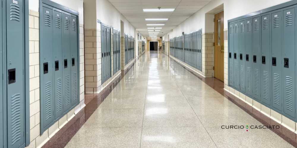 Chicago School Lawyers